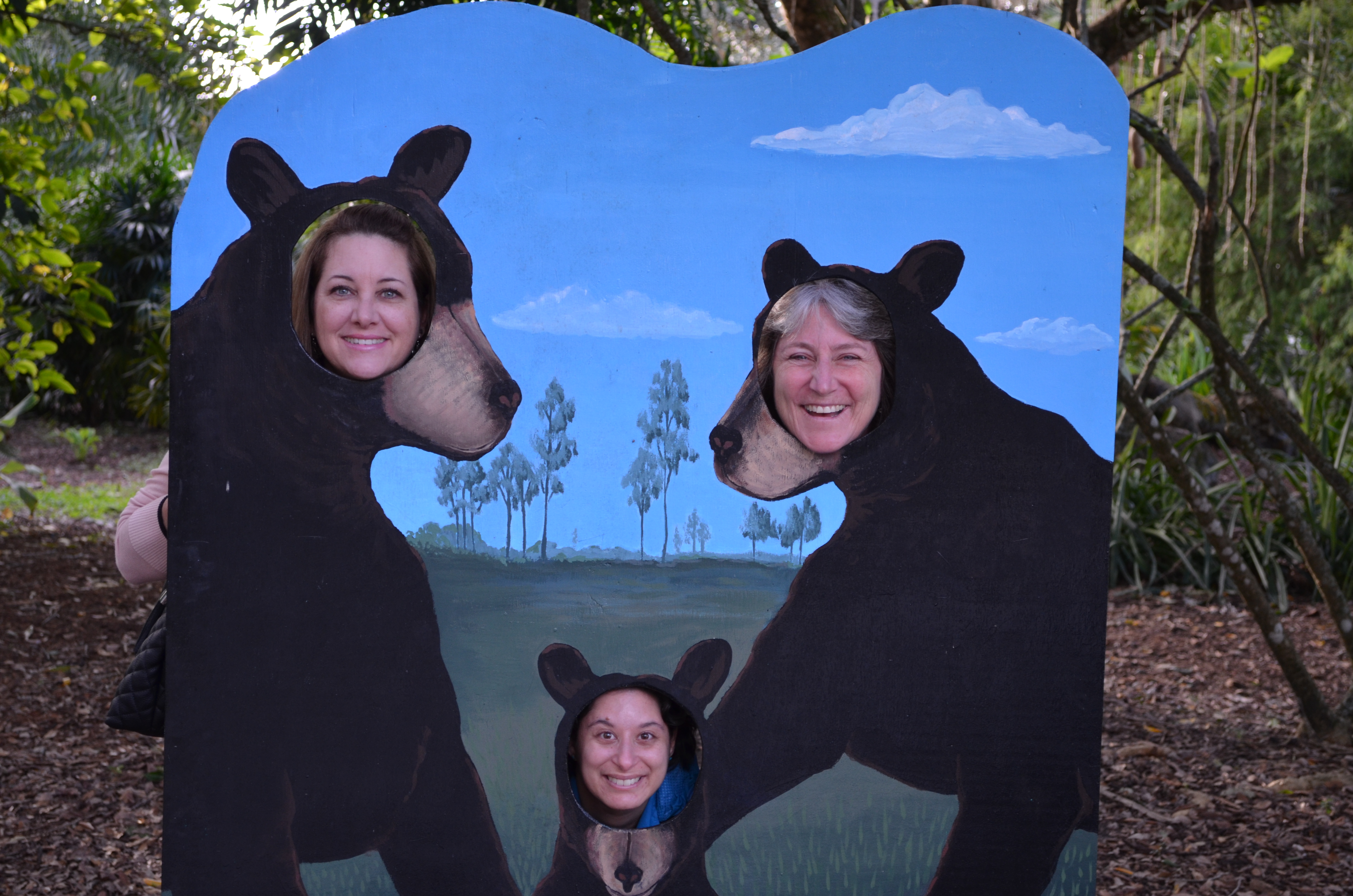 ./2014/Flamingo Gardens/DSC_8058.JPG